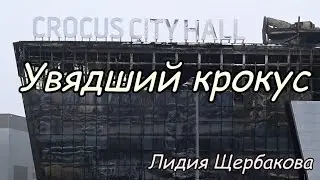 "Увядший крокус" Лидия Щербакова #crocus, #uvyadshiy_crocus, #Lidiya_Shcherbakova, #poklonnaya_gora