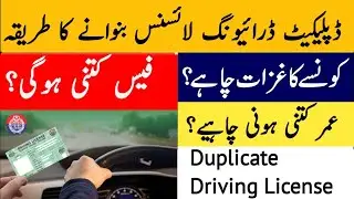 How to get duplicate driving licence pakistan. | how to apply lost driving licence | Punjab DLMIS