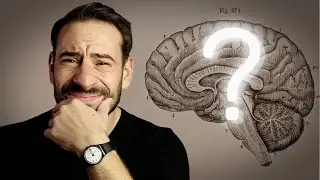 You’re Not As Rational As You Think You Are