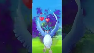 articuno #pokemon #shinypokemon #pokemongo #shiny #shinyhunting #shadowpokemon