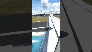 Best Landing - Wing View 