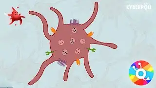 Bloedplaatjes