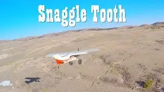 Snaggle Tooth STOL Strip