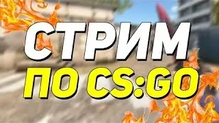 Сегодня у нас весёлый и позитивный стрим в CS GO (Общение с чатом)#5