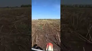 Сумасшедший заяц😀 #эндуро