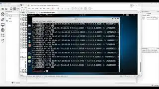 3- CCNP SCOR 350-701 |  LAN Security (MAC Spoofing and Port Security)