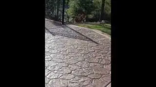 Штампованный бетон в ботаническом саду
