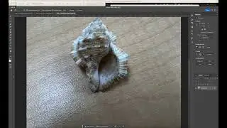 Retopologizing a 3D Scanned Shell 2