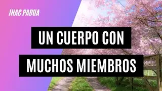 Un cuerpo con muchos miembros ✅
