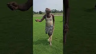 Amazing Cricket Ground Grass Making Complete Process #shorts #trending #cricket