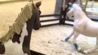 Schleich Horse Movie -A Fault In Love part 3