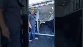 We get to the summit of this trailer!