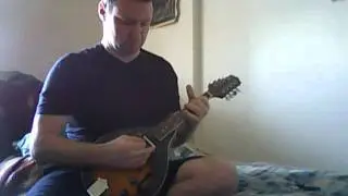 Ibanez M510E Electric/Acoustic Mandolin (a short demo)