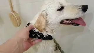 Надежды сбываются. Наша девочка и не только...