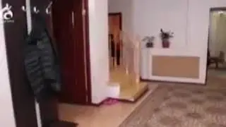 Ата-ана тəрбиесі