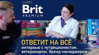 Brit отвечает на вопросы зрителей | Какие консерванты в корме, что с Brit Care, вет. диетой и т.д.