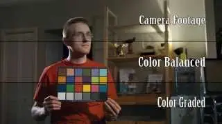 Black Magic Pocket Cinema Camera & Production Camera 4K Test Footage