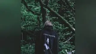 lovv66 - trap trap (speed up)
