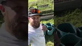 How we are planting our potatoes in the garden this year