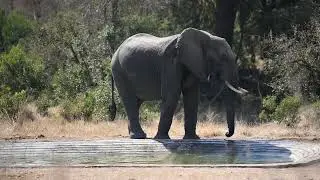 A quiet drink
