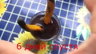 Реанимируем ржавый инструмент