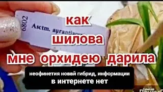 Как 