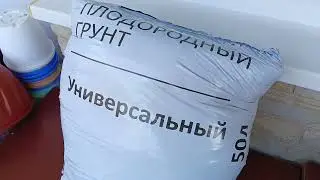 Затарилась в магазине "Светофор"