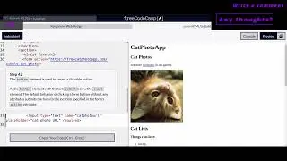 Responsive Web Design - Cat Photo App - 40,41,42