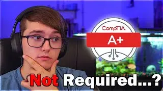 Do You ACTUALLY Need Certifications to Land an IT Help Desk Job?