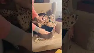 Bolsa de viaje y mochila