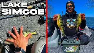 Spring Perch Fishing - Lake Simcoe 2024