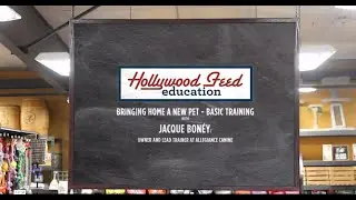 Bringing A New Pet Home: Basic Training with Jacque Bonéy