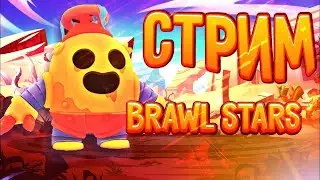 Стрим по Brawl stars//Оценка каналов//Играю с подписчиками//немного фанимся!