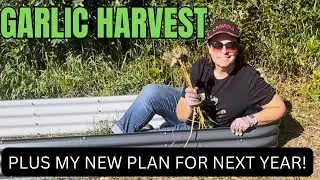 HARVESTING AND DRYING GARLIC 🧄🧄New Growing Plan for Next Year!