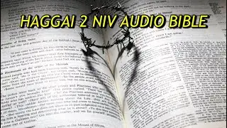 HAGGAI 2 NIV AUDIO BIBLE(with text)