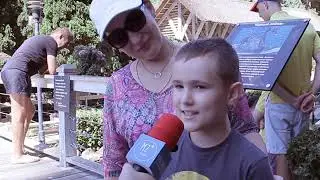 ТОЧКА ЗРЕНИЯ ГЛАЗАМИ ДЕТЕЙ ЧТО ТАКОЕ МЕЧТА?