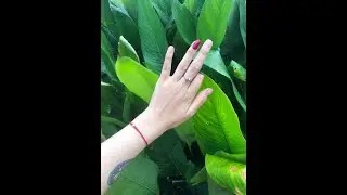 Girl with amputee finger blowing bubbles #shorts