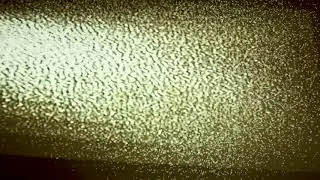 SunSquabi - Instinct - 04 Night Moth (Unofficial Feedback Loop Video)