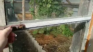 🍁Дачный сезон заканчивается🍁Вести с дачи на 29.09.2024г🍁