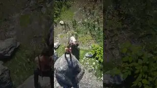 Y157 Stimulate super survival skills 