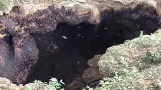 Monfort Bat Sanctuary