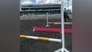 Гомон, --.06.2019