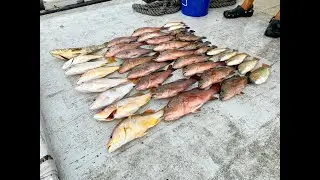 Fishing with Captain Fong, Changi Fishing
