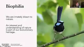 Birds Meet: Nature Connection