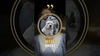 Иван и Джон "Ютуб опрос"      #юмор #смешно #интервью #ютуб #россия