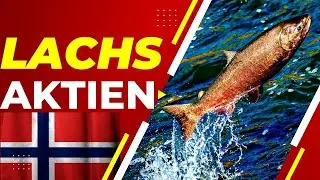 Lachs-Aktien fallen - Norwegen plant Lachs-Steuer! [Mowi, Salmar, Austevoll]