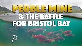 What is the Pebble Mine?