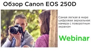 Обзор EOS 250D - компактная зеркальная камера с 4К и фокусировкой по глазу