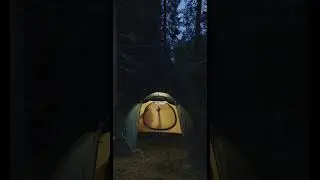 🙈