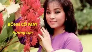 BÔNG CỎ MAY|KARAOKE GIA VIET|TIẾNG HÁT HƯƠNG LAN|TUYỆT PHẨM BOLERO
